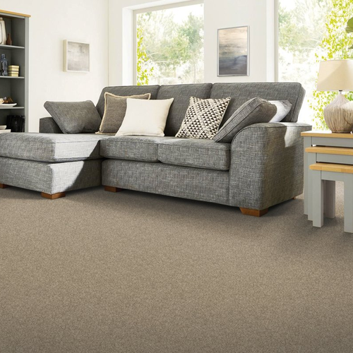 Living room with comfy carpet